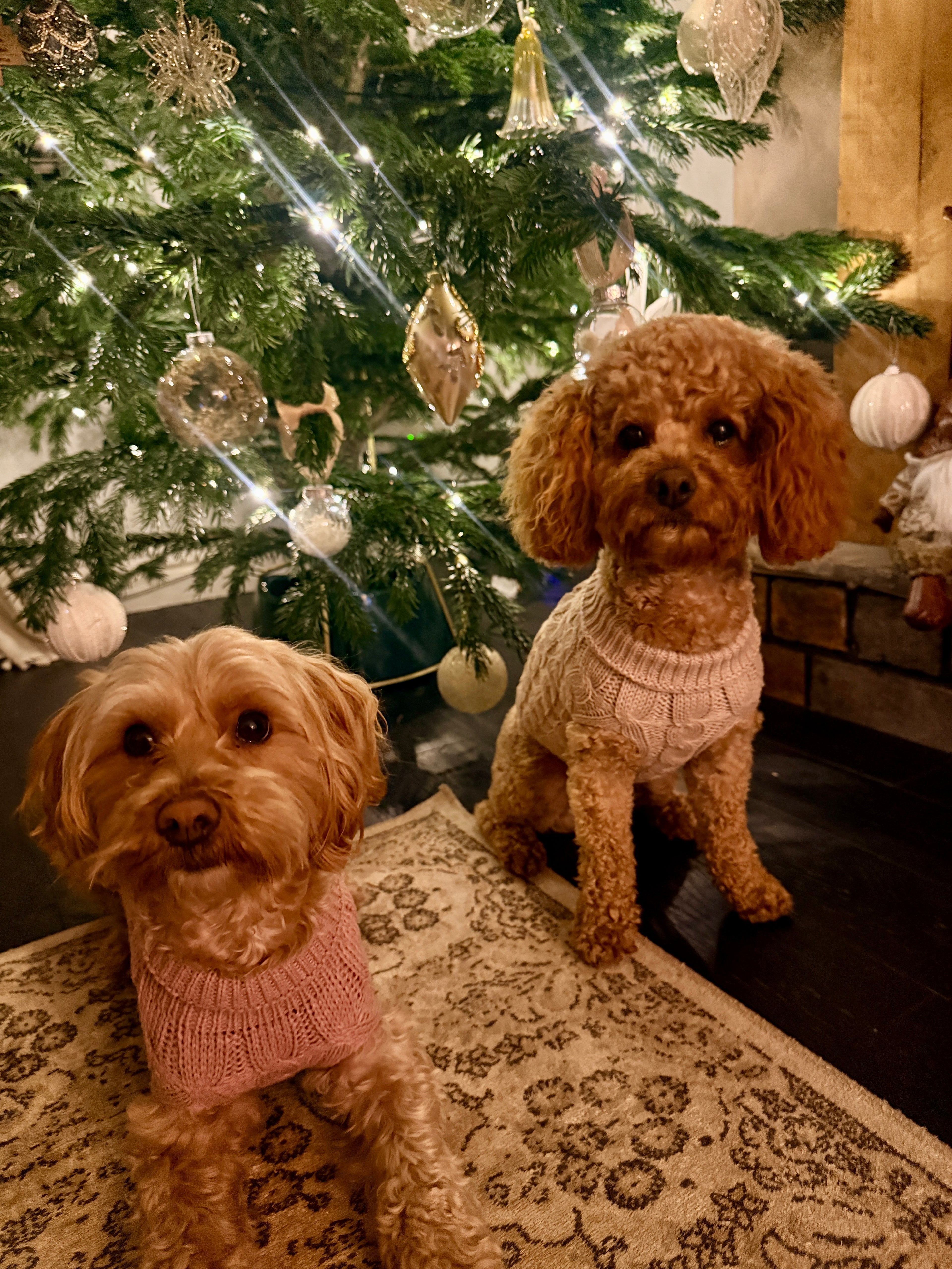 SiHHa Dog Jumper Soft Pink