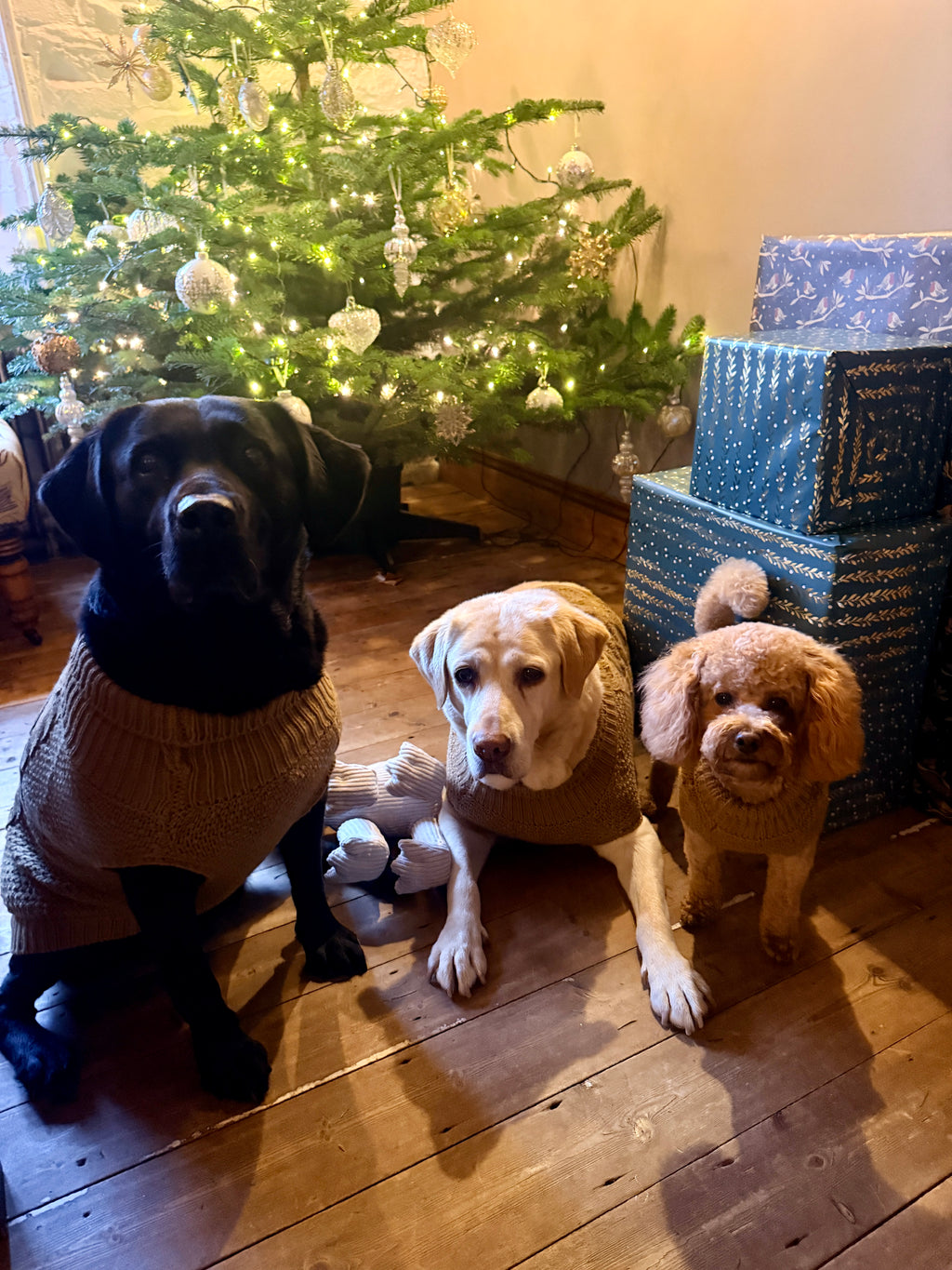 SiHHa Dog Jumper - Larger Breeds