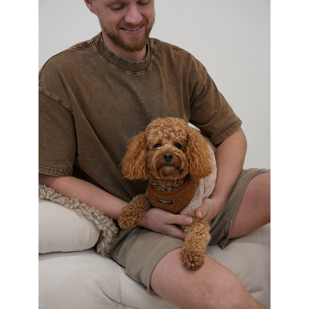Unisex Boxxy Oversized Tee Acid Brown